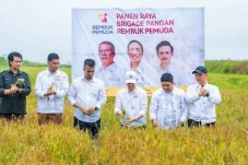 Perkuat Kedaulatan Pangan,...