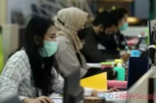 Program Magang Kerja...