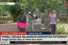 Fenomena Maraknya Fotografer...