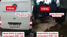 Heboh Mobil Berlabel...