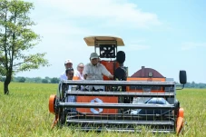 Harga Beras Turun, Mentan:...