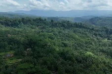 Jelang Konferensi Perubahan...