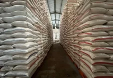 Indonesia Catat Surplus...