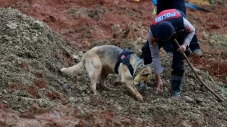 19 Anjing Pelacak Dikerahkan...