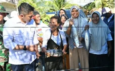 Turun ke Akar Rumput,...