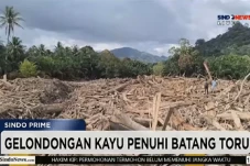 Menhut Minta Polri Usut...