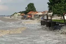 Banjir Rob Terjang Indramayu,...