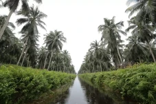 Berusia 58 Tahun, Sambu...