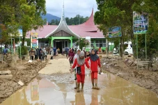 Guru Besar UGM Usul...
