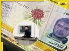Polisi Tangkap Naveed...
