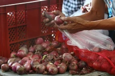 Petani Bawang Brebes...