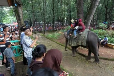 Ragunan akan Datangkan...