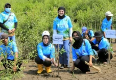 Rehabilitasi Mangrove...