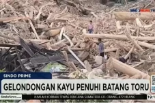 DPR Minta Status Kayu...