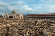 Asal Usul Kayu Gelondongan...