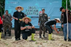 Bangun Usaha di Sultra,...
