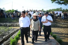 Mentan Amran: Rehabilitasi...