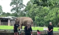 Libur Isra Mikraj, Pengunjung...