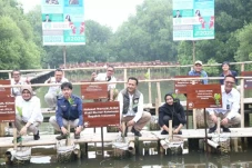Rehabilitasi Mangrove,...