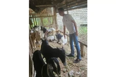 Dorong Peternak Lahat...