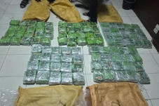 Bea Cukai dan BNN Gagalkan...