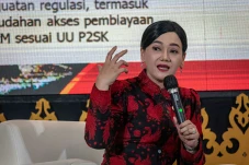 Friderica Widyasari...