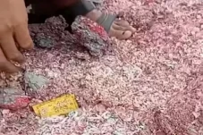 Ungkap Cacahan Duit...