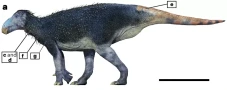 Dinosaurus Berduri Aneh...