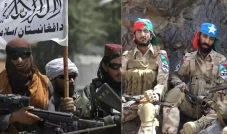 Perang Berlanjut, Pakistan...