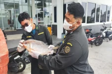BNPP Fasilitasi Pengiriman...