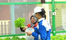 Pertamina Patra Niaga...