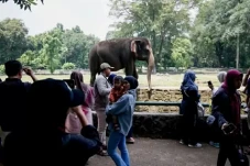 72.311 Pengunjung Padati...