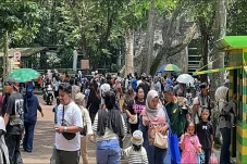 Ada Night Zoo, Ragunan...