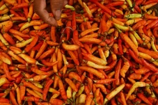 Harga Cabai Rawit Merah...