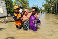 Pemerintah Diminta Segera...