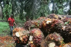Optimalisasi Limbah...