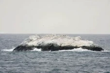 Pulau Misterius Ditemukan...
