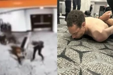 Ini Tampang Pria yang...