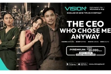 Sinopsis The CEO Who...
