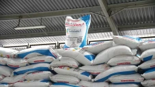 Prabowo Turunkan Harga...