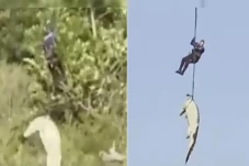 Buaya 4,5 Meter Ini...