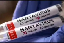 Ahli Epidemiologi Sebut...