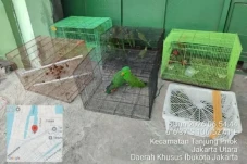 Kemenhut Bongkar Perdagangan...