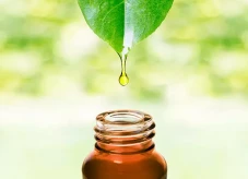Industri Herbal Andalkan...