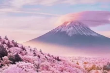 Jepang Naikkan Biaya...