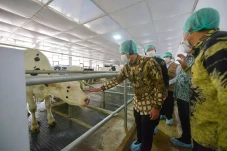 Ketahanan Pangan Nasional,...