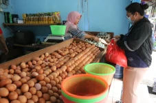 Harga Telur Berangsur...