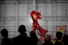 Melihat Atraksi Barongsai...