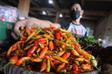 Harga Cabai Rawit di...