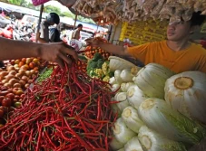 Harga Sayur Naik Akibat...